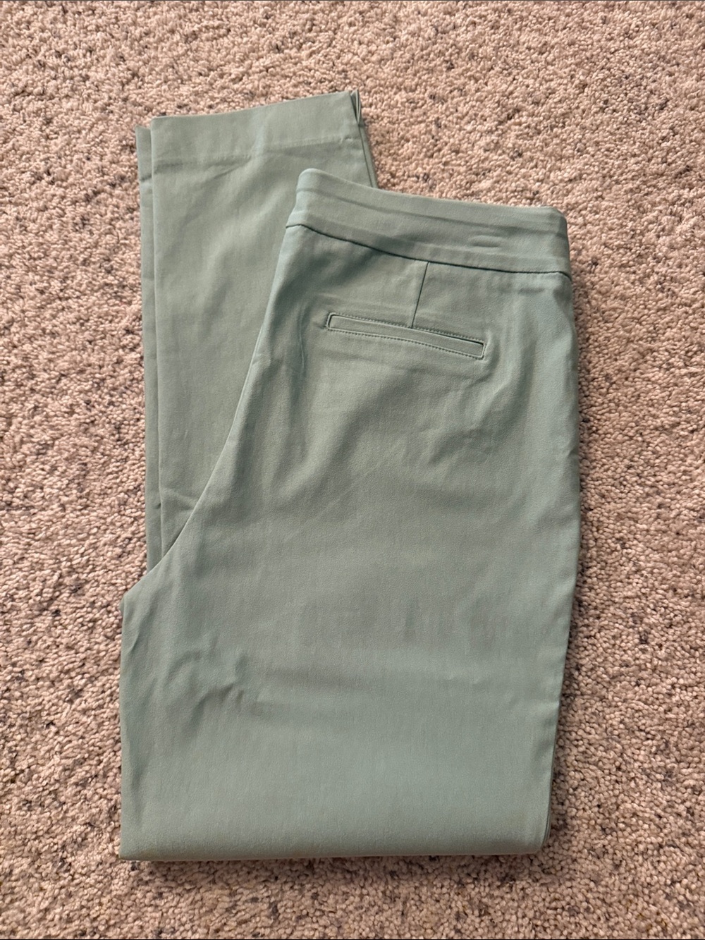 Charter Club Olive Green Skinny Pants